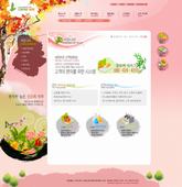 Korea company templates 98